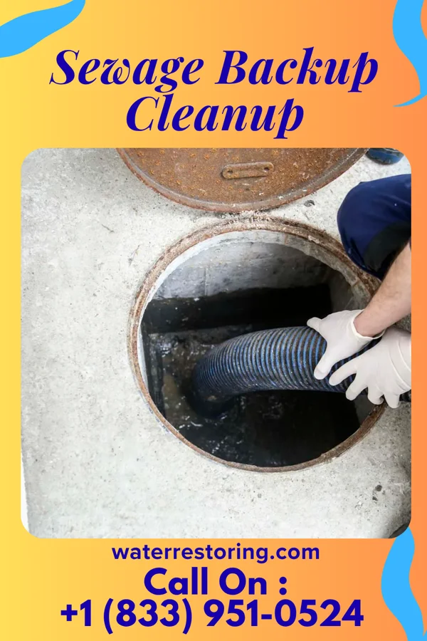 Sewage Backup Cleanup in Kinsman, IL