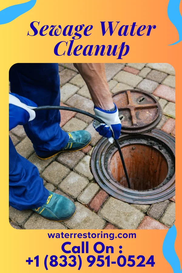 Sewage Water Cleanup in Kinsman, IL